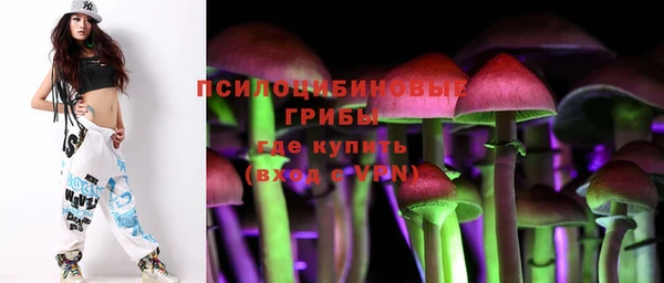 круглые Ельня