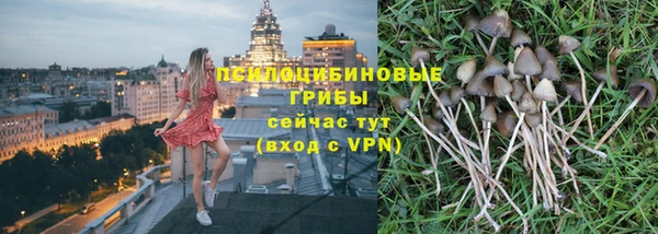 spice Елизово