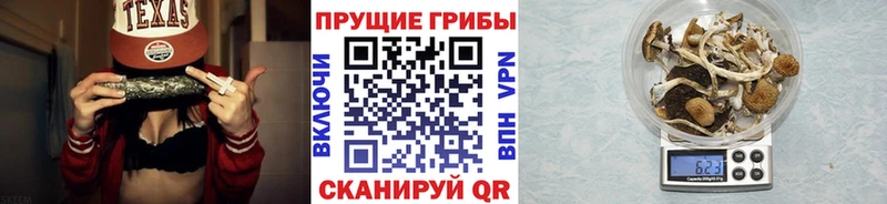 Псилоцибиновые грибы Magic Shrooms  купить  сайты  Вязьма 